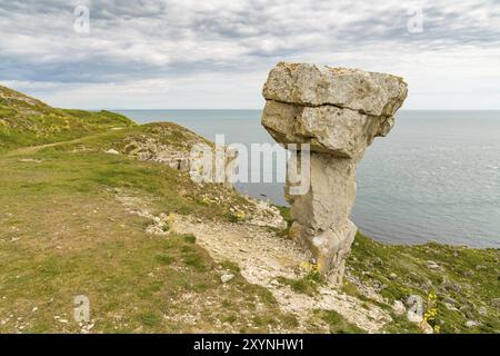 Steinbruch Ruinen von St aldhelm's Kopf, in der Nähe von Worth Matravers, Jurassic Coast, Dorset, Großbritannien Stockfoto