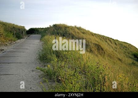 Abenddünen an der Nordseeküste deutschlands Stockfoto