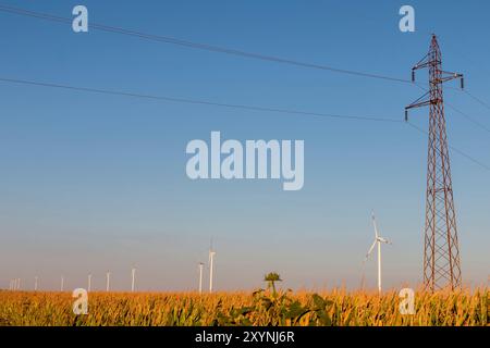 Hochspannungsleitungen bei Sonnenuntergang. In Zukunft - Elektrizitätsknappheit. Wegen der hohen Preise haben verzweifelte Menschen kein Geld für Strom Stockfoto