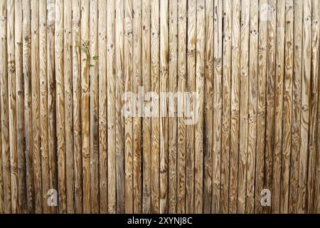 Lattenzaun Stockfoto