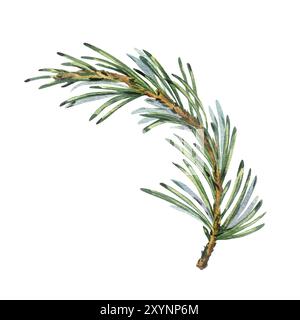 Pinienzweig mit grünen Nadeln, Waldpflanzen für den Winter und weihnachtsdekor. Aquarell, handgezeichnet. Isoliertes Objekt auf einem weißen Stockfoto
