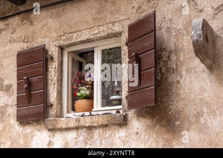 Malerisches offenes Fenster mit Holzläden und Blumenarrangements in der Altstadt von Rovinj, Rovinj, Kroatien, Europa Stockfoto