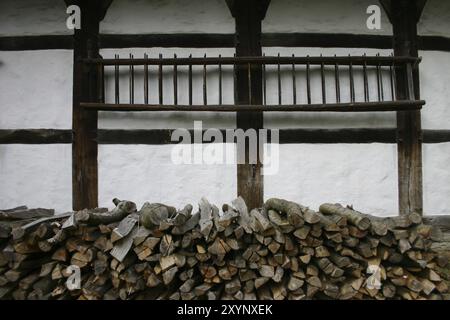 Holzleiter und Holzhaufen an einer Hauswand Stockfoto