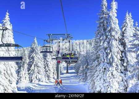 Skigebiet Kopaonik, Serbien, Piste, Menschen am Skilift, Skifahrer auf der Piste unter weißen Kiefern, Europa Stockfoto
