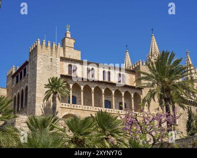 Historisches Gebäude mit markanten architektonischen Details und Palmen im Vordergrund unter blauem Himmel, palma de mallorca, balearen, Stockfoto