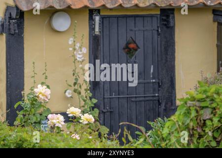 Gelbes Haus mit schwarzer Tür, umgeben von blühenden Blumen und grünem Laub, Svaneke, bornholm, ostsee, dänemark, skandinavien Stockfoto