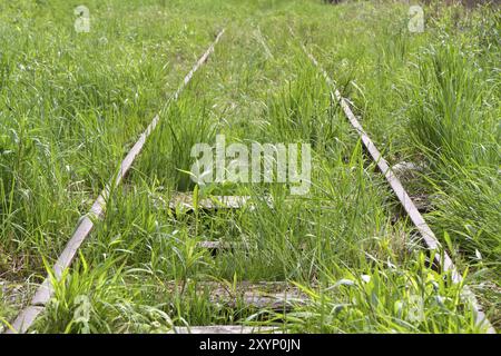 Stillgelegte Bahnstrecke in einem Hochmoor in Bayern Stockfoto