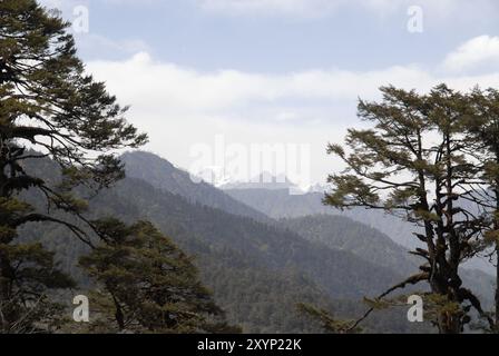 Blick nach Norden in Richtung der über 7000 m hohen Berge von den 108 Khangzang Namgyal Chortens, Dochula Pass, Bhutan, Asien Stockfoto