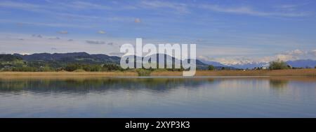 See im Kanton Zürich, Schweiz. Idyllische Landschaft am Pfaffikon-See. Frühlingsszene Stockfoto