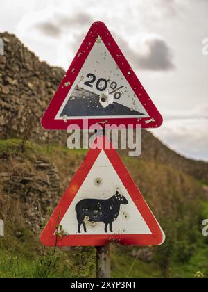 Zeichen: 20% Abstieg, Schafe, in der Nähe von Levisham, North Yorkshire, England, UK gesehen Stockfoto