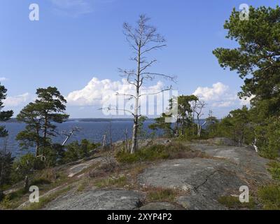 Küste in Finnland Stockfoto