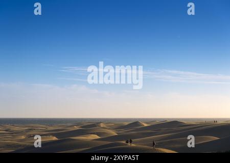 Dünenlandschaft von Maspalomas Stockfoto