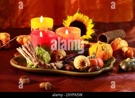 Stillleben und Ernte oder Tisch-Dekoration für Thanksgiving Stockfoto