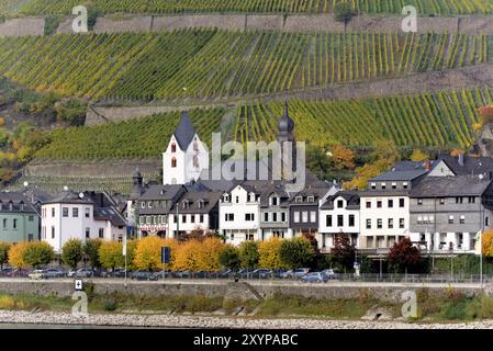 Kaub im Herbst Stockfoto