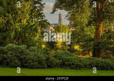 Turm der St.-Eusebius-Kirche in der Stadt Arnheim aus Sicht des Sonsbeek-Parks Stockfoto