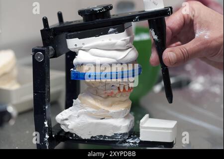 Ober- und Unterkiefer sind gelenkt Stockfoto