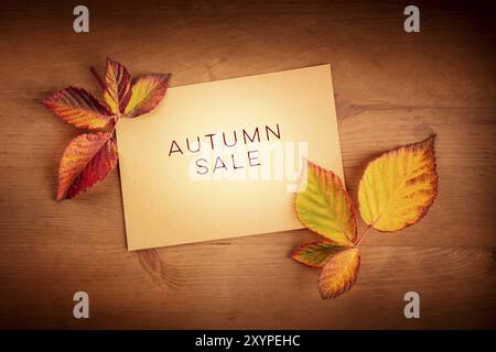 Herbst Verkauf. Rabatt Banner oder Flyer Design Template mit lebendigen Herbst Blätter auf ein braunes Kraftpapier Karte, mit Kopie Raum Stockfoto