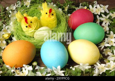 Bunte Ostereier und zwei dekorative Küken in einem Nest umgeben von weißen Frühlingsblumen Stockfoto