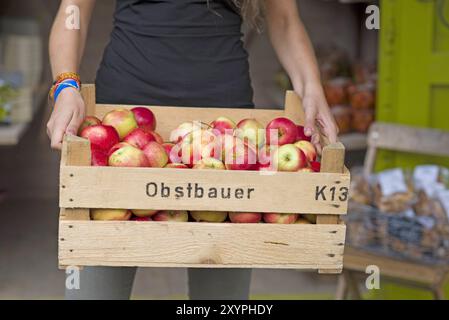 Die Frau des Bauern trägt eine Holzkiste mit Äpfeln Stockfoto