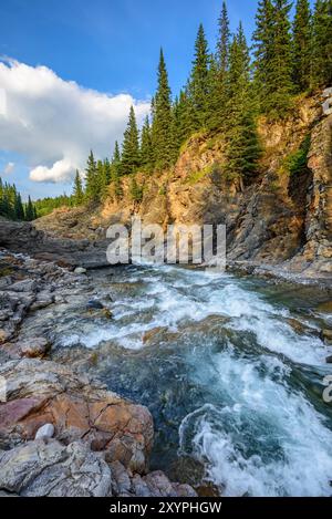 Der Sheep River fließt durch die schroffe Tiger Jaw Gorge Stockfoto