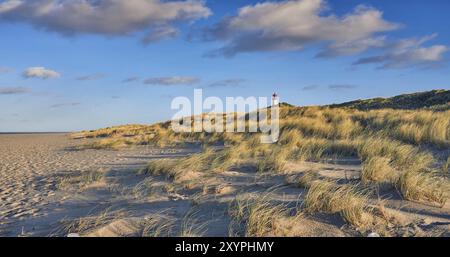 Menschenleeren Strand mit Leuchtturm hinter Sanddünen im Abendlicht in einem niedrigen Winkel sehen. Spuren im Sand Stockfoto