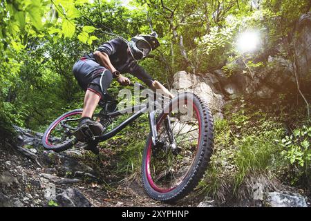 Ein junger Fahrer auf einem Fahrrad, der bergab fährt, steigt die Felsen im Wald ab Stockfoto