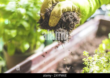 Nahaufnahme von fruchtbarem Boden zum Pflanzen von Gemüse und Kräutern Stockfoto