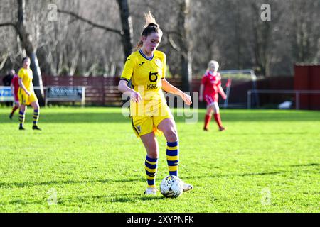 Briton Ferry, Wales. 12. Januar 2020. Nieve Jenkins von Swansea City Ladies in Aktion beim Spiel der Orchard Welsh Premier Women's League zwischen Briton Ferry Llansawel Ladies und Swansea City Ladies am 12. Januar 2020 in Briton Ferry, Wales, Großbritannien. Quelle: Duncan Thomas/Majestic Media. Stockfoto