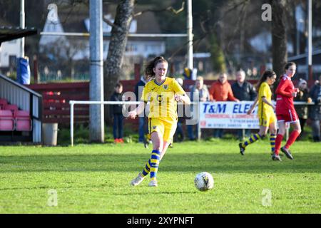 Briton Ferry, Wales. 12. Januar 2020. Nieve Jenkins von Swansea City Ladies in Aktion beim Spiel der Orchard Welsh Premier Women's League zwischen Briton Ferry Llansawel Ladies und Swansea City Ladies am 12. Januar 2020 in Briton Ferry, Wales, Großbritannien. Quelle: Duncan Thomas/Majestic Media. Stockfoto