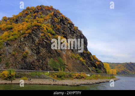 Loreley im Herbst Stockfoto