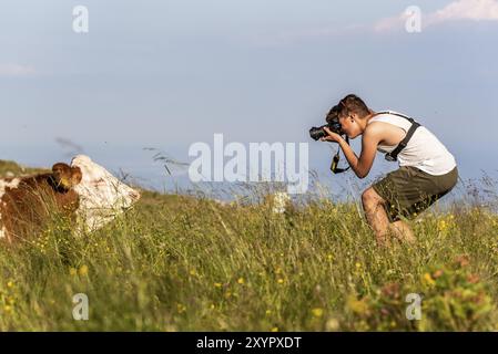 Schockl, Steiermark, Österreich, 07.07.2018: Junger Mann fotografiert eine Kuh in der Natur. Auf dem Schockl bei Graz in der Steiermark. Touristen- und Wanderdestina Stockfoto
