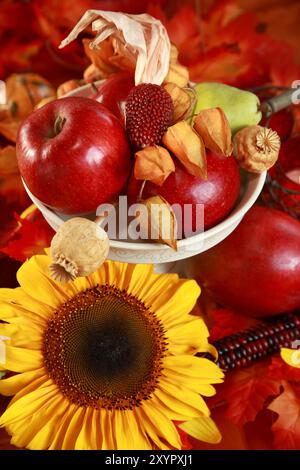 Frische Äpfel und Sonnenblumen auf dem Herbsttisch Stockfoto