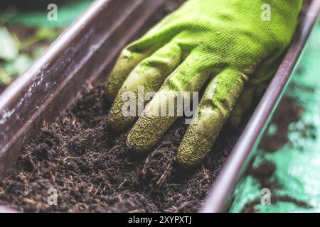 Nahaufnahme von fruchtbarem Boden zum Pflanzen von Gemüse und Kräutern Stockfoto