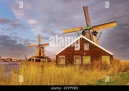 Niederländische ländliche Windmühlen am berühmten Touristenort Zaanse Schans in Holland bei Sonnenuntergang Stockfoto