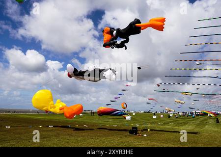 Deutschland , Norddeich . Drachenfest auf der Drachenwiese in Norddeich. Mai 2022 Stockfoto