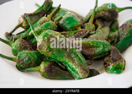 Pimientos de Padron. Typische Tapa aus gebratenen Paprika aus der spanischen Provinz Galicien Stockfoto