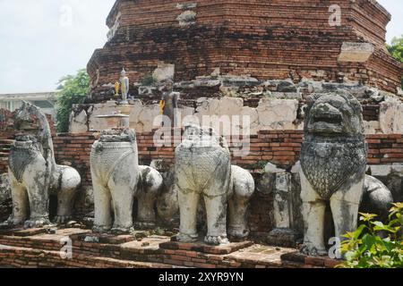 Singha- oder Löwenstatuen rund um die Hauptpagode am Wat Thammickarat haben sich im Laufe der Zeit verschlechtert, zeigen aber auch die Pracht und zeigen die Antike. Stockfoto