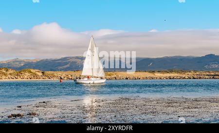 Morro Bay, Kalifornien, USA. Juli 2024. Segelbootfahrten in ruhiger Nähe der Küste vor einer malerischen Landschaft. Stockfoto