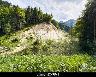 Reutte, Österreich. Juni 2024. Wanderer auf der Fuessener Hütte bei Reutte, Österreich am 18. Juni 2024. Fotograf: ddp Images/STAR-Images Credit: ddp Media GmbH/Alamy Live News Stockfoto