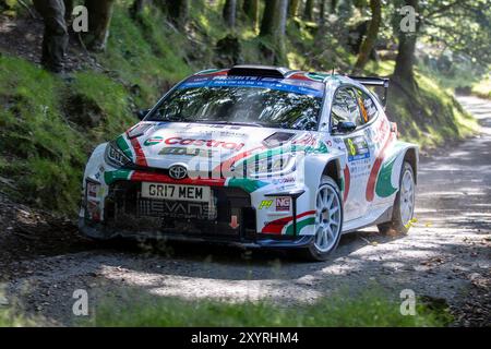 Aberystwyth, Dyfed, Großbritannien. 30. August 2024. 2024 FIA European Rallye Championship Day 1; Fahrer Christopher Ingram und Beifahrer Alex Kihurani in ihrem Toyota GR Yaris während der Rallye Shakedown Credit: Action Plus Sports/Alamy Live News Stockfoto