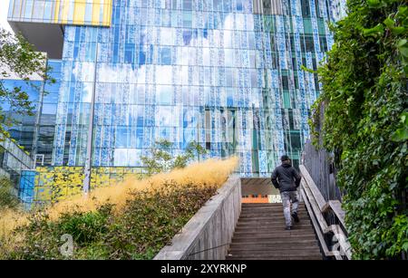 Grünflächen um Gebäude, hier bei Hogeschool Inholland Rotterdam, Pflanzbeete an Durchgängen, grüne Wände und Dächer, Rotterdam, Niederlande Stockfoto