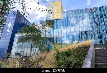 Grünflächen um Gebäude, hier bei Hogeschool Inholland Rotterdam, Pflanzbeete an Durchgängen, grüne Wände und Dächer, Rotterdam, Niederlande Stockfoto