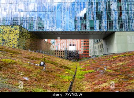 Grünflächen um Gebäude, hier bei Hogeschool Inholland Rotterdam, Pflanzbeete an Durchgängen, grüne Wände und Dächer, Rotterdam, Niederlande Stockfoto