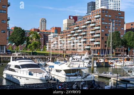 Rotterdam Marina, hinter Wohnhochhäusern in Spoorweghaven, Vergnügungshafen, Segelboote, Motoryachten, im Binnenhafen Feije Stockfoto