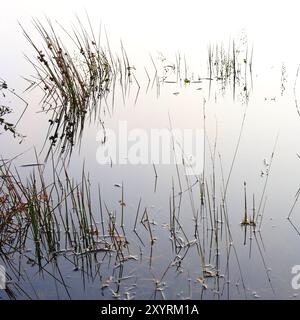 Überschwemmungen im Lake District nach starken Regenfällen aufgrund des Klimawandels Stockfoto