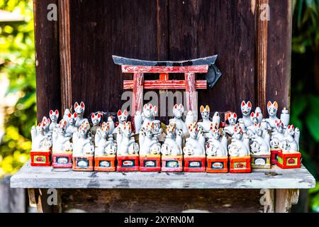 Statuen von Füchsen in Jozan Inari Jinja, einem schintoistischen Schrein, der für Inari (Fuchsgötter) berühmt ist, in Matsue, Präfektur Shimane, Japan Stockfoto