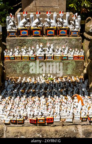 Statuen von Füchsen in Jozan Inari Jinja, einem schintoistischen Schrein, der für Inari (Fuchsgötter) berühmt ist, in Matsue, Präfektur Shimane, Japan Stockfoto