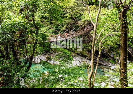 Die Vine Bridge namens Kazurabashi über den Fluss Iya, ein bedeutendes Kulturgut im Iya-Tal, malerische Gegend in der Präfektur Tokushima, Japan Stockfoto