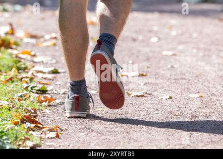 , Deutschland, 30.08.2024, Nahaufnahme der Beine einer Person in Bewegung auf einem Waldweg. Der Fokus liegt auf den Schuhen und Socken der Person, W Stockfoto