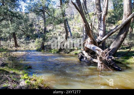 Der Abercrombie River fließt durch den Nationalpark Abercrombie River westlich des Stadtzentrums von Oberon, New South Wales, Australien Stockfoto